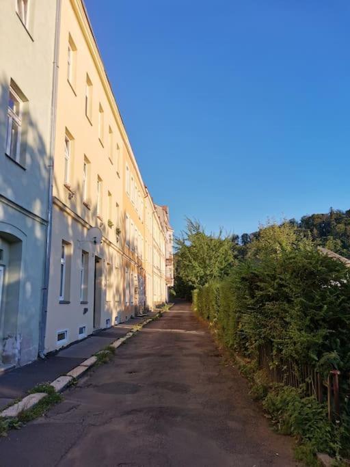 Apartament Ubytovani Ester - Utulny Byt V Lazenskem Centru Karlovych Varu Se Zahradkou Karlowe Wary Zewnętrze zdjęcie