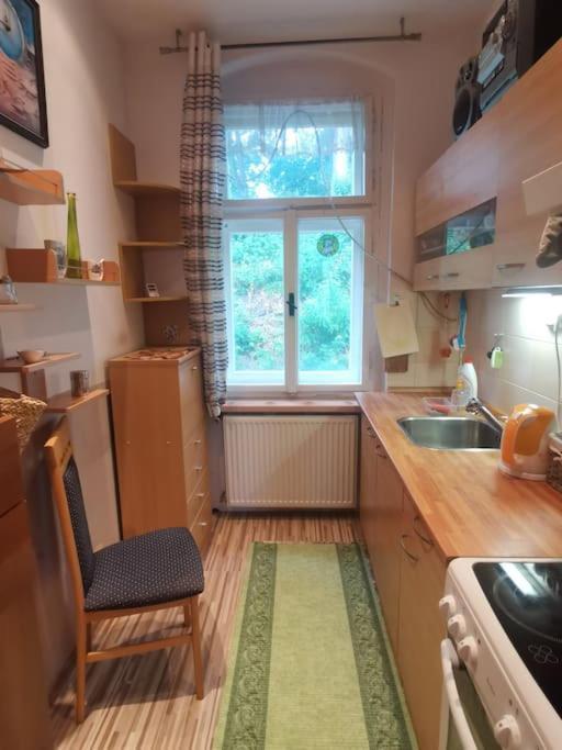Apartament Ubytovani Ester - Utulny Byt V Lazenskem Centru Karlovych Varu Se Zahradkou Karlowe Wary Zewnętrze zdjęcie