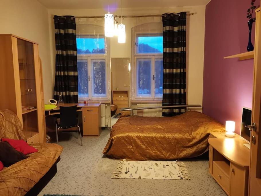 Apartament Ubytovani Ester - Utulny Byt V Lazenskem Centru Karlovych Varu Se Zahradkou Karlowe Wary Zewnętrze zdjęcie