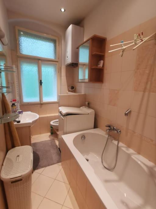 Apartament Ubytovani Ester - Utulny Byt V Lazenskem Centru Karlovych Varu Se Zahradkou Karlowe Wary Zewnętrze zdjęcie