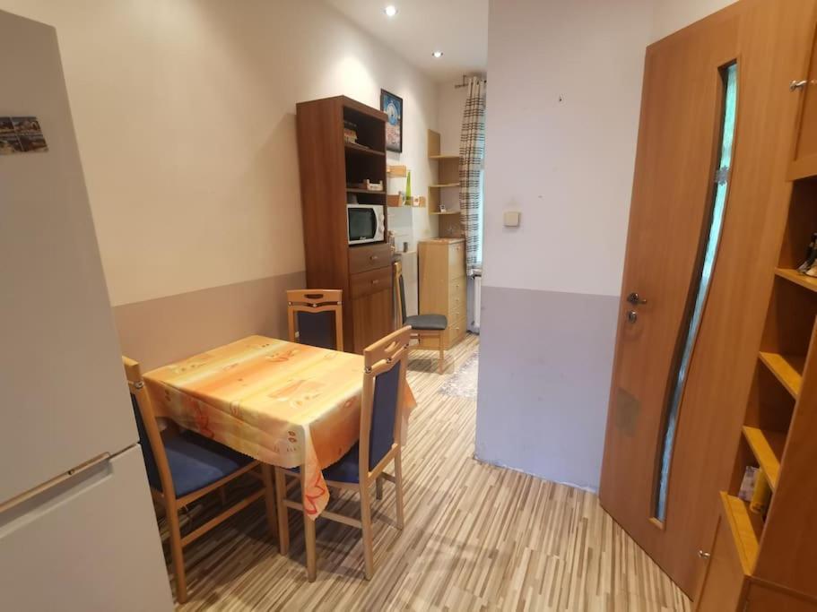 Apartament Ubytovani Ester - Utulny Byt V Lazenskem Centru Karlovych Varu Se Zahradkou Karlowe Wary Zewnętrze zdjęcie